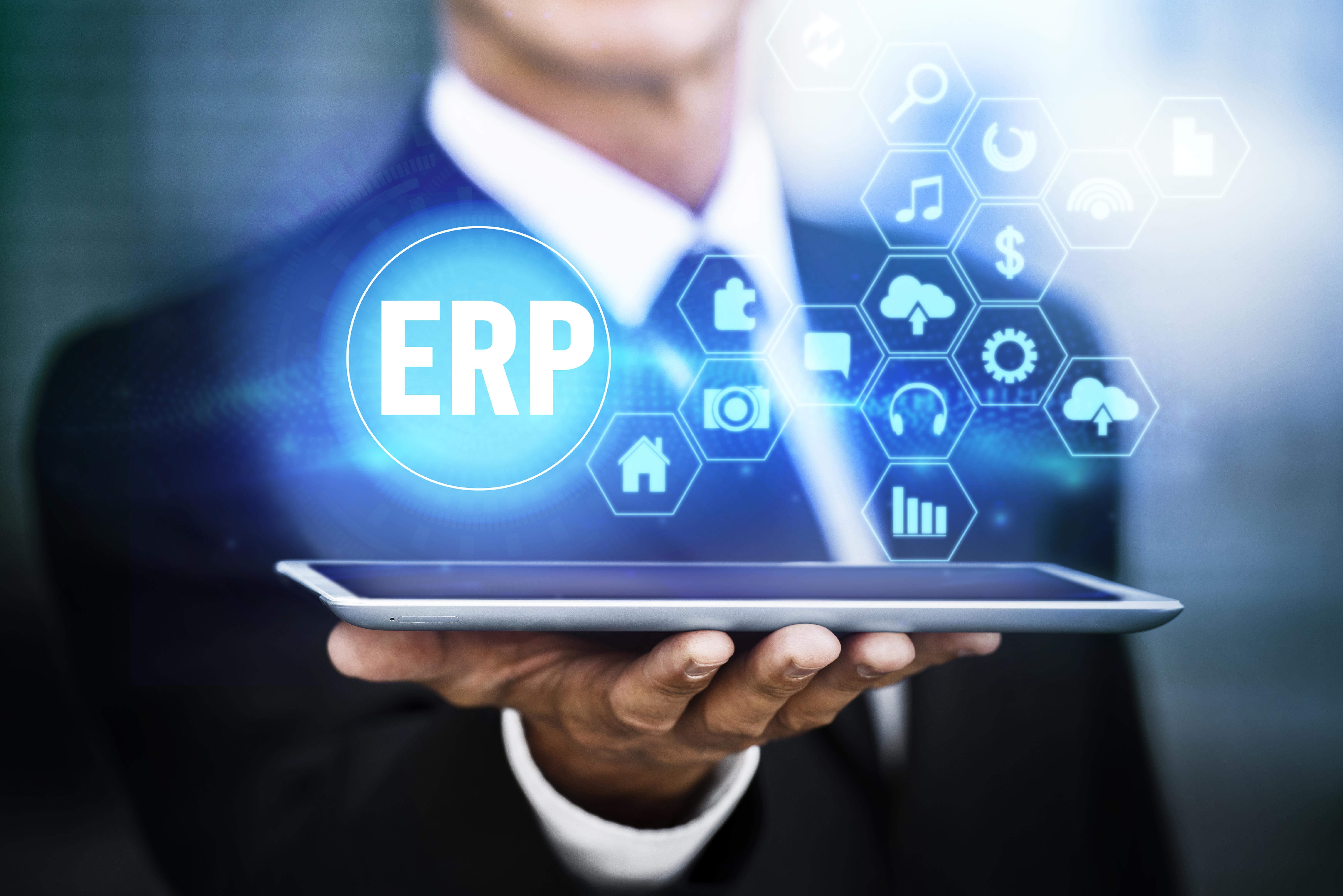 ERP Systems (Custom-built)